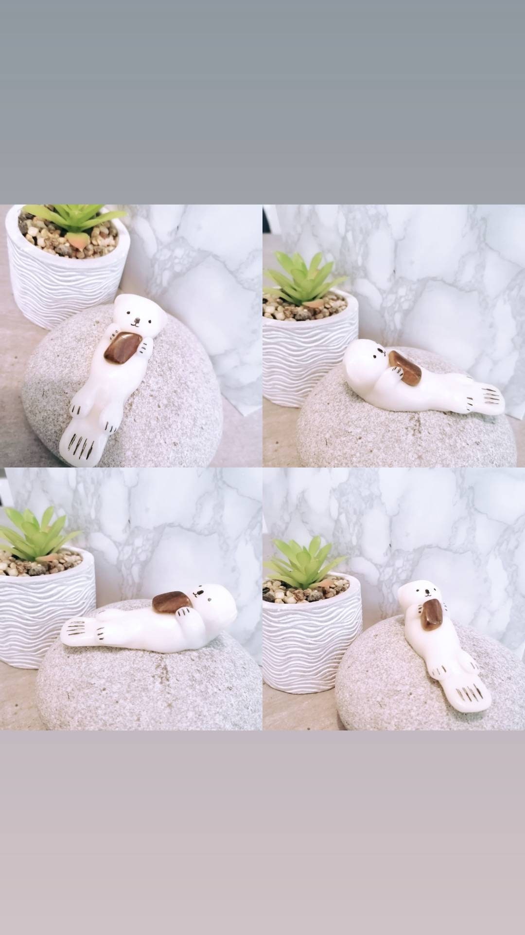 Loutre Blanche Oeil de Tigre