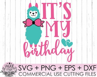 Llama Birthday svg, Girl Birthday svg, Llama shirt svg, Llama girl svg, Llama printable, Llama birthday svg, Llama cut file, Cricut