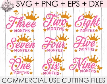 Princess Age Monate SVG Schnittdatei / Baby Monate SVG Schnittdatei / Monate Mädchen Alter Svg Cut Datei / Baby Age Princess Svg, PNG, Dxf, Eps