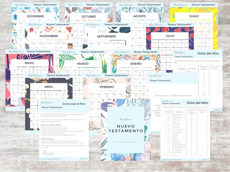 Biblical Plan 5 New Testament Bible Reading Plan Spanish image 1