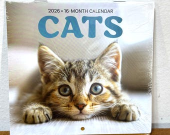2026 Wall Calendar Cats Kittens Small 5.6x5.3 Monthly Posters