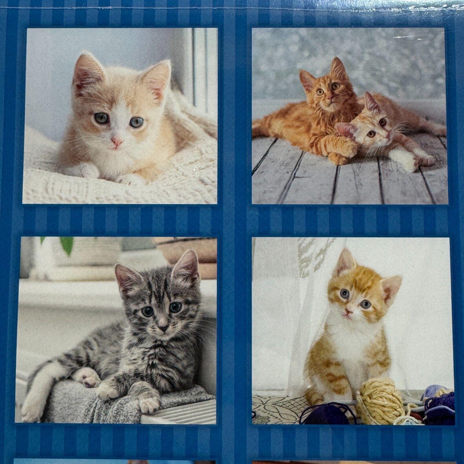 Calendrier De Bureau 2026 Catalan Avec Photos Chiens Et Chats - Vue Mois, Spirale Métal, Janv-Déc 2026 + 4 Mois 2025 - 5