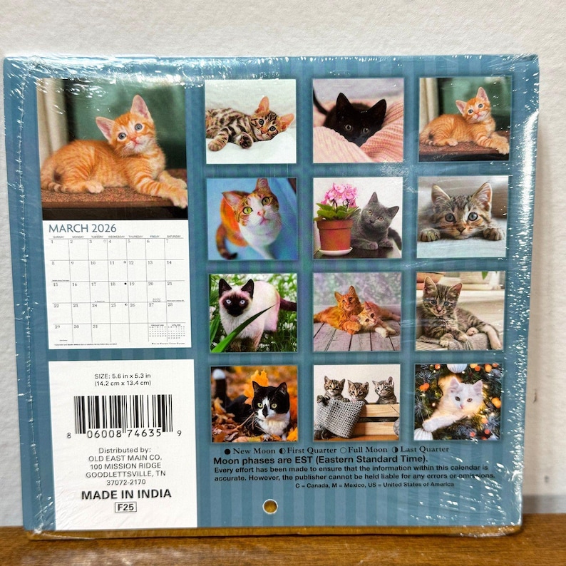 2026 Wall Calendar Cats Kittens Small 5.6x5.3 Monthly Posters - Etsy