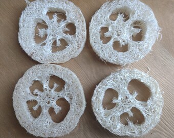 May include: Four white loofah sponges with a flower-shaped design in the center. The sponges are round and have a rough texture.