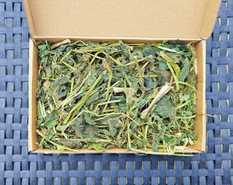 May include: A cardboard box filled with dried green nettle leaves.