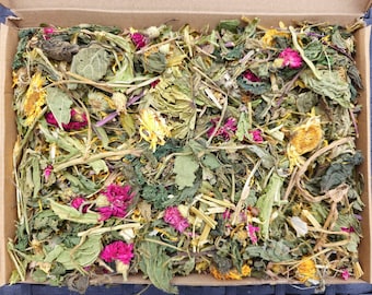 Herb and Flower Forage | healthy treat | rabbit | guinea pig | small pets