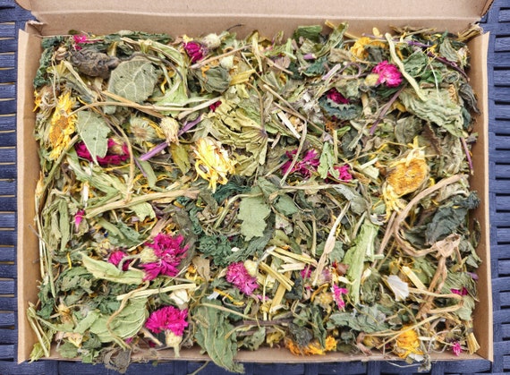 Herb and Flower Forage | healthy treat | rabbit | guinea pig | small pets