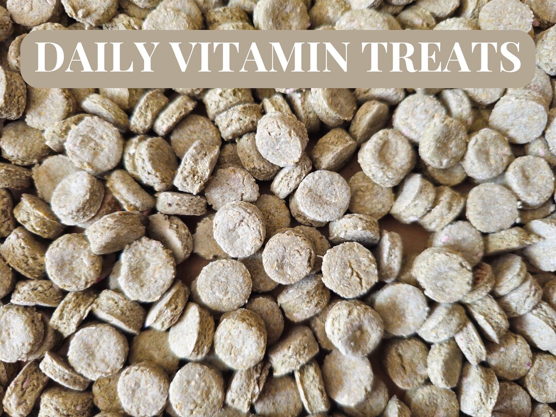 Daily Vitamin Treats For Rabbits And Guinea Pigs Pack Of Photo Inspiration