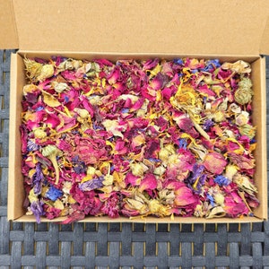 Mini Bunny Premium Flower Forage Box | natural forage for Rabbits - Chinchillas - Guinea Pigs - Hamsters - Degus
