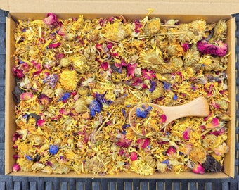 Hase Premium Frühlingsblumen Futterbox | natürliches Futter für Kaninchen - Chinchillas - Meerschweinchen - Hamster - Degus