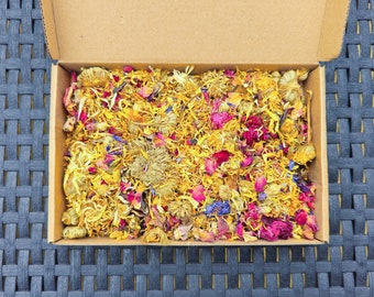 Mini Bunny Premium Frühlingsblumen Futterbox | natürliches Futter für Kaninchen - Chinchillas - Meerschweinchen - Hamster - Degus