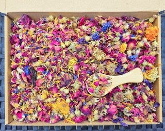 Premium Blumen Futter Box | natürliches Futter für Kaninchen - Chinchillas - Meerschweinchen - Hamster - Degus