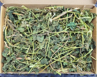May include: A cardboard box filled with dried green nettle leaves and stems.
