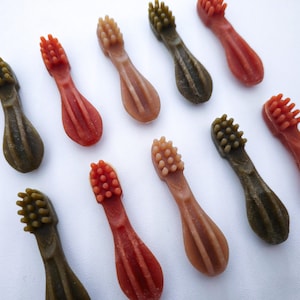 Puede incluir: Un surtido de juguetes para masticar para perros con forma de cepillos de dientes en colores verde, rojo y marrón. Los juguetes para masticar tienen cerdas en un extremo y una superficie texturizada en el otro.