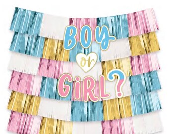 Boy or Girl? Fringe Banner Backdrop with Cutouts, 5ft x 4.8ft - The Big Reveal