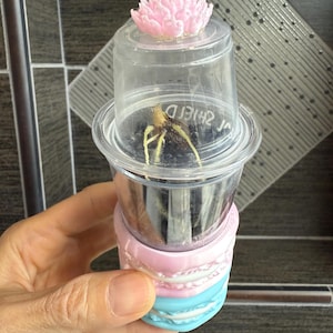 Puede incluir: Un juego de tres tazas de cerámica con un acabado mate moteado. Las tazas son de color crema, gris claro y gris oscuro. Cada taza tiene un diseño minimalista, ideal para café o té.