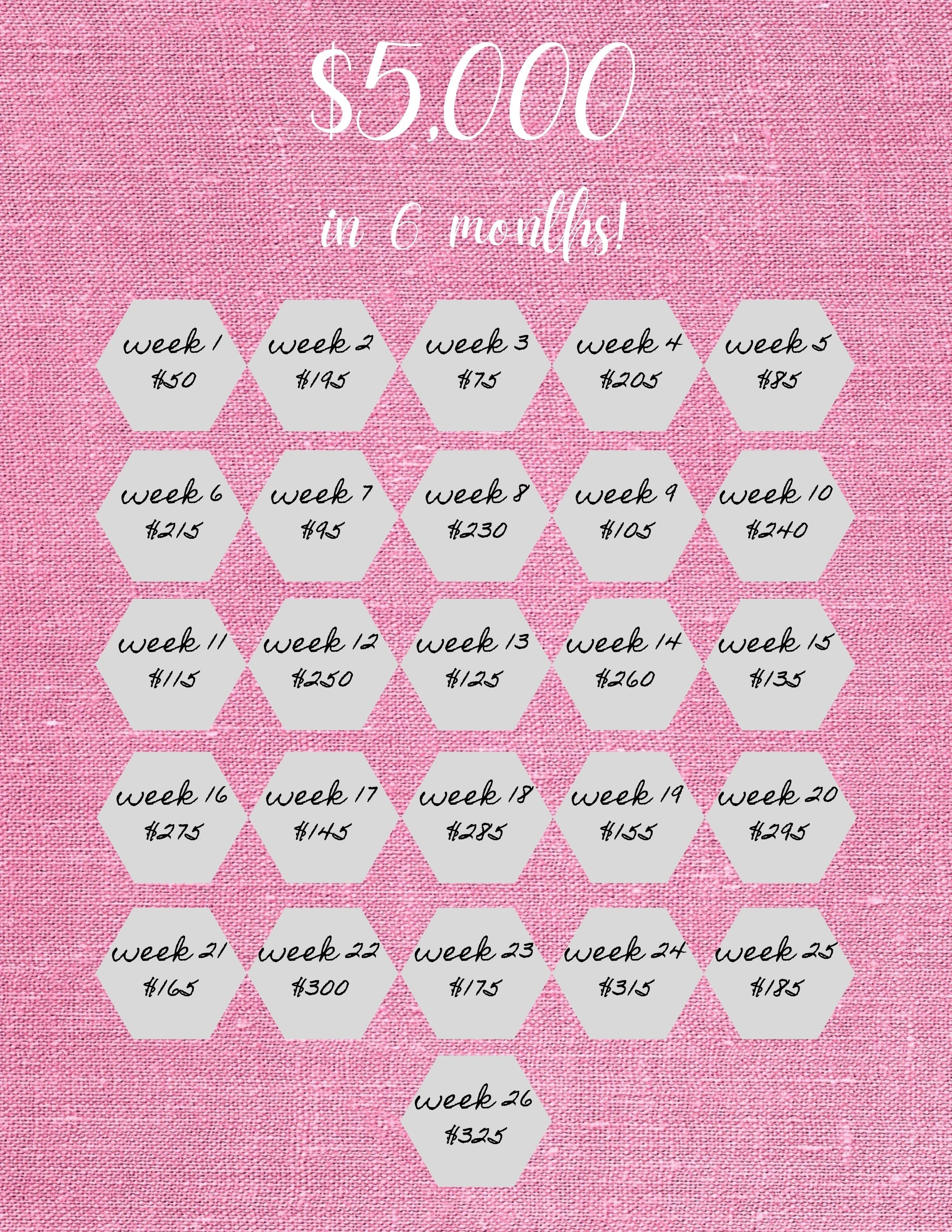 Money Saving Challenge Printable Save 5000 in 6 Months Savings Tracker ...