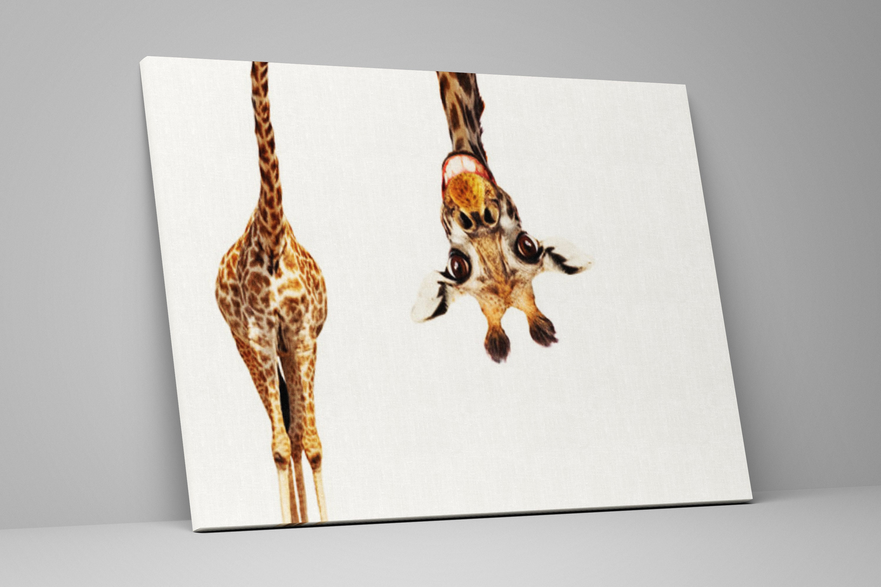 Upside Down Giraffe Canvas Wall Art Print Rolled Various Etsy