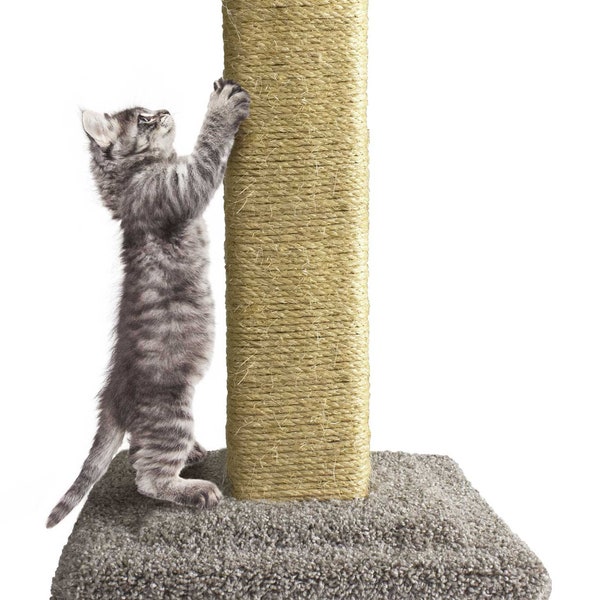 Cat Scratching Post Etsy