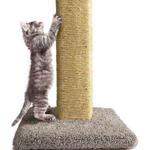 Etsy cat scratcher hot sale
