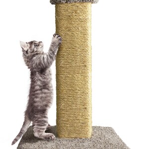 Kitty Scratching Carpet Post Tree Natural Sisal Rope Scratcher -FREE SHIPPING- Made in USA