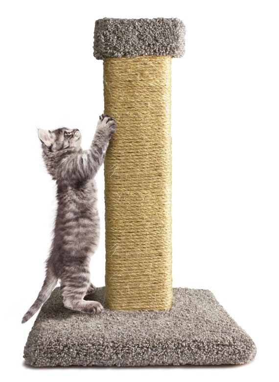 Carpet free top cat tree