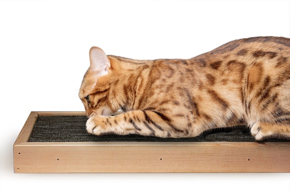 Cat Scratching Pad Carpet & Heavy Duty Clawing Platform DOUBLE SIDED Reversible Mat 2X Value Made in USA Free Shipping great Cat Lover Gift
