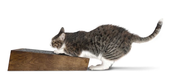 Kitty Cat Scratcher Mat Angled Ergonomic Platform Inclined Carpet Pad Board for Indoor Healthy Cat Clawing FREE SHIPPING Handcrafted in USA