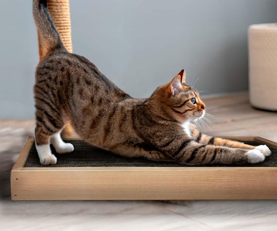 Cat Scratcher Pad Double Sided Carpet with Heavy Duty Wooden Frame Large Horizontal Reversible Carpeted Floor Scratcher a Cat Lover's Gift