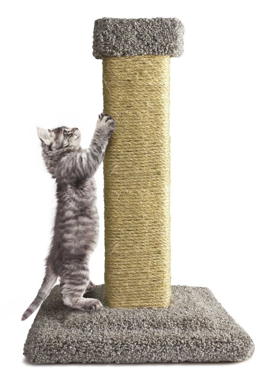 etsy cat scratching post