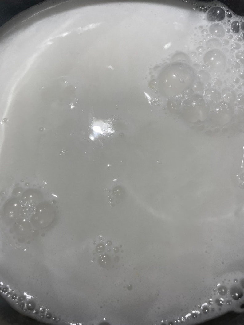 Fermented Rice Milk Conditioner image 4