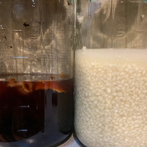 Fermented Rice Milk Conditioner image 5