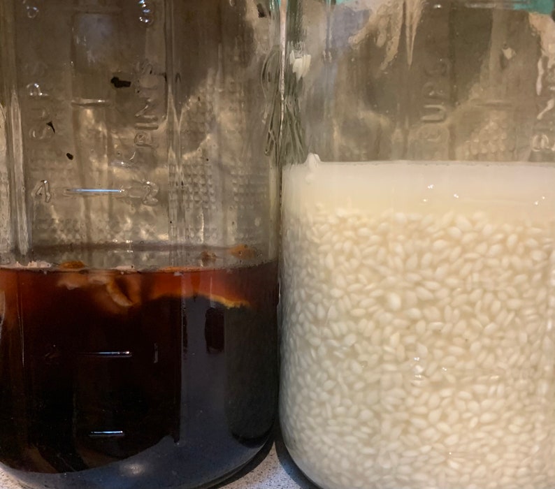 Fermented Rice Milk Conditioner image 5