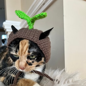 Little sprout Cat Hat Cat Costumes Cat Clothing Cat Accessories Cat Supplies Pet Costumes Pet Clothing Pet Supplies Pet Accessories