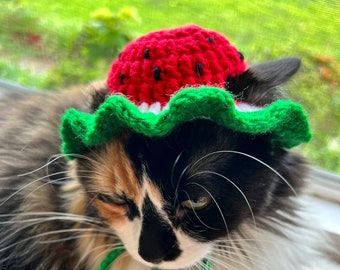 Crochet Watermelon Cat Hat Cat Clothing Cat Accessories Cat Costumes Cat Supplies Pet Accessories Pet Supplies Pet Costumes Pet Clothing