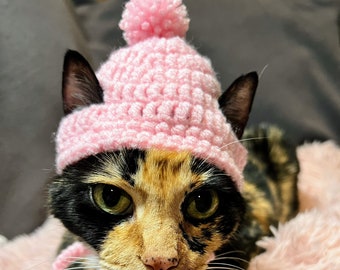 Crochet Cat beanie Cat Hat Cat Costumes Cat Accessories Cat Clothing Pet Supplies Pet Hat Pet Accessories Pet Costumes