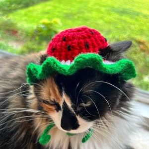 Watermelon Cat Hat 