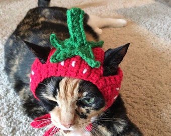 Strawberry cat hat hats for cats cat clothing cat accessories cat supplies cat costumes pet costumes pet supplies pet clothings