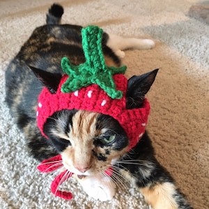 Strawberry cat hat hats for cats cat clothing cat accessories cat supplies cat costumes pet costumes pet supplies pet clothings