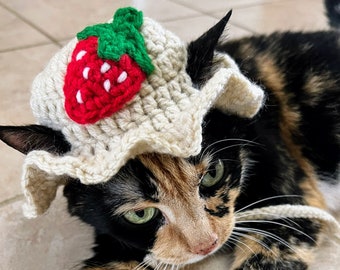 May include: A calico cat wearing a crocheted strawberry hat. The hat is white with a red strawberry and green leaves.