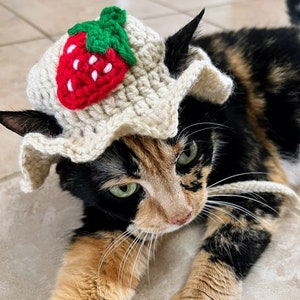 Crochet Strawberry Cat Hat, Summer Pet Costume