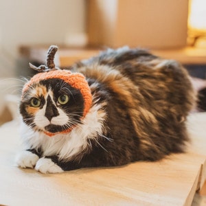 Gorro de calabaza para gato, disfraz de otoño para mascota