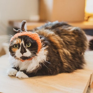 Pumpkin cat hat Cat Accessories Cat Costumes Cat Supplies Cat Clothing Pet Costumes Pet Accessories Pet Supplies Pet Clothing