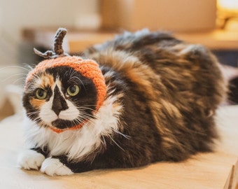 Pumpkin cat hat Cat Accessories Cat Costumes Cat Supplies Cat Clothing Pet Costumes Pet Accessories Pet Supplies Pet Clothing