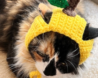 Lemon Cat Hat Cat Accessories Cat Costumes Cat Supplies Cat Clothing Pet Costumes Pet Accessories Pet Supplies Pet Clothing