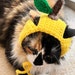 see more listings in the Cat Hats section