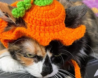 May include: A calico cat wearing a handmade orange and green crochet pumpkin hat. The hat has a stem and is designed to fit the cat's head. The cat is resting on a black surface.