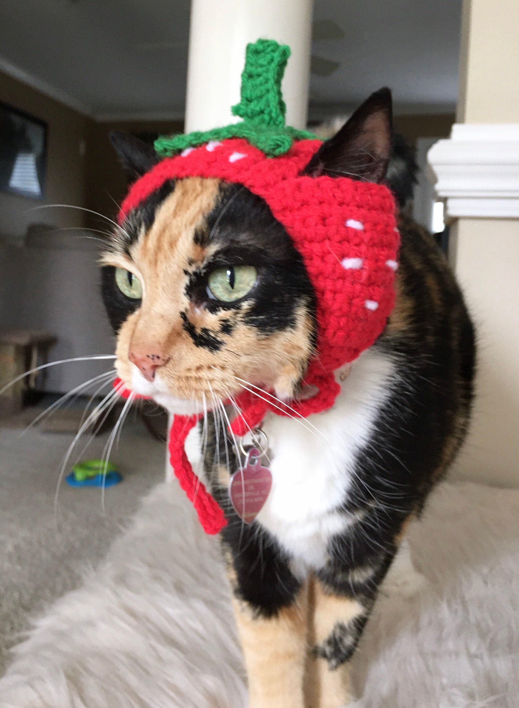 Strawberry cat hat hats for cats cat clothings cat accessories Etsy