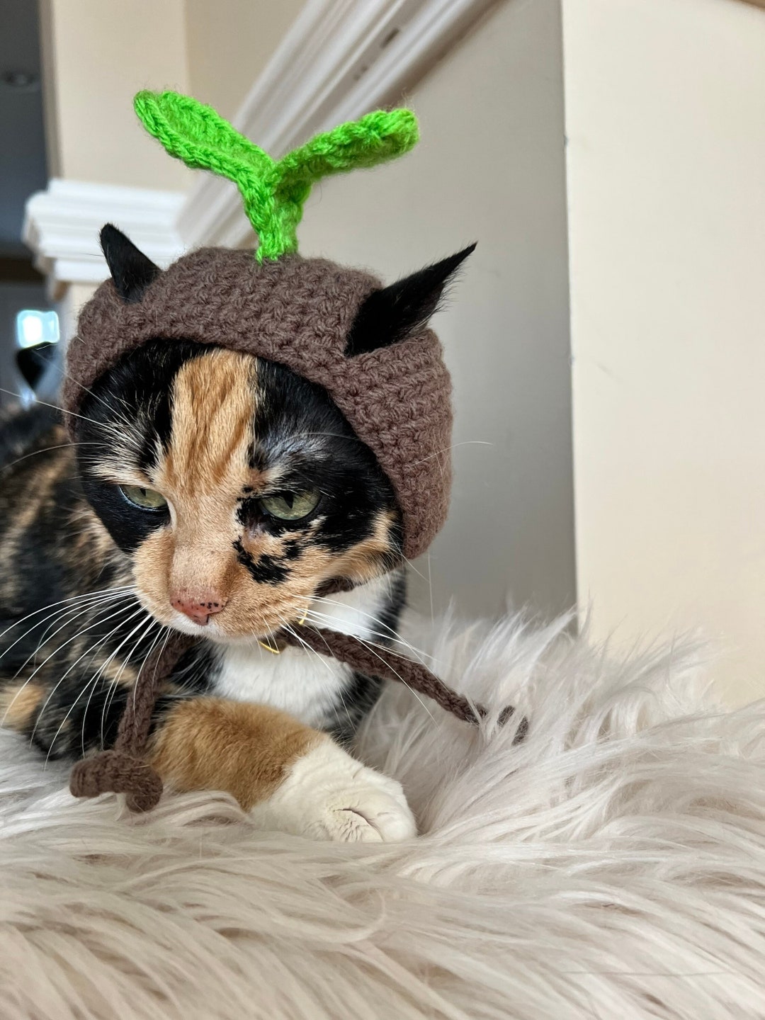 小物 ANDWANG Fluffy cat knit hat 帽子 andwang Fluffy cat knit hat Fluffy cat knit hat