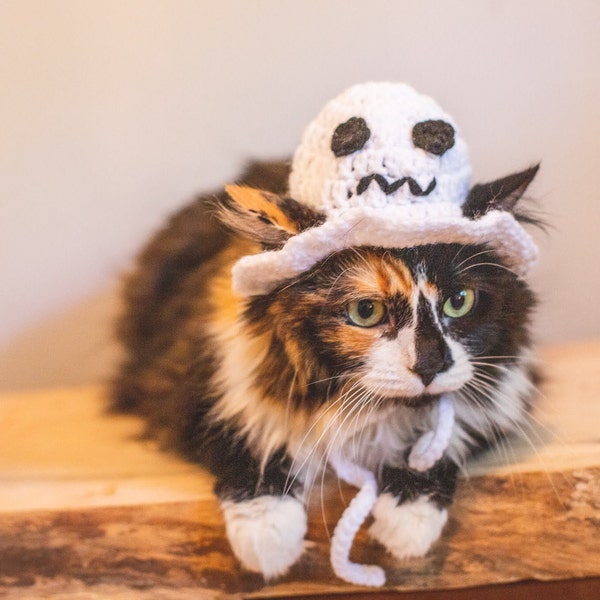 Crochet Ghost Cat Hat, Halloween Costume for Cats